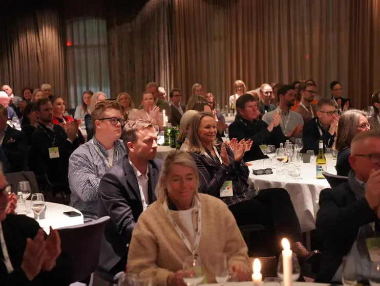 Den store styrekvelden