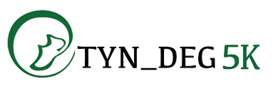 TYN DEG AS