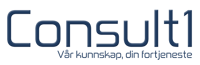 CONSULT1 SØR AS