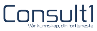 CONSULT1 SØR AS