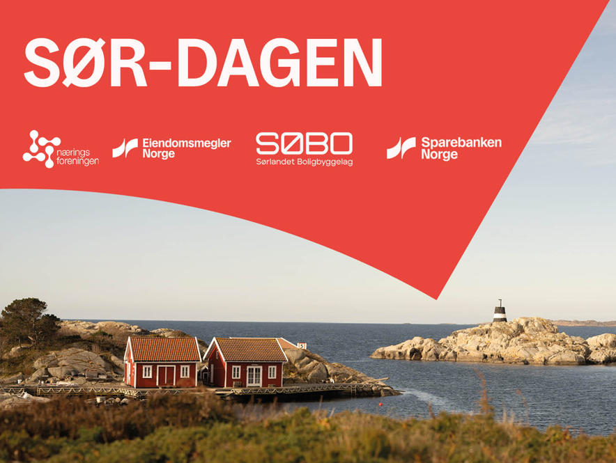 Sør-dagen