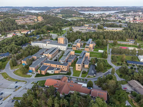 Høringsinnspill til Universitetet i Agders strategi 2025-2028