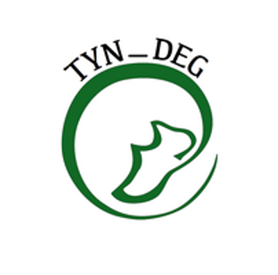 TYN DEG AS