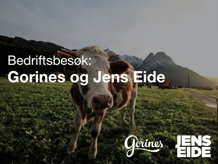 Bærekraftsnettverket inviterer: Bedriftsbesøk hos Gorines og Jens Eide