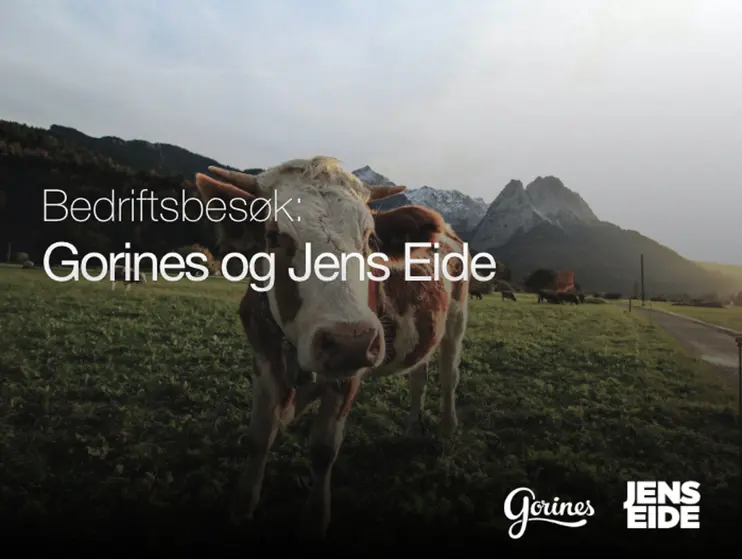 Bedriftsbesøk hos Gorines og Jens Eide