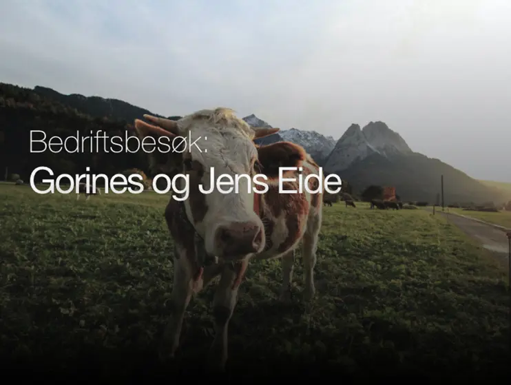 Bedriftsbesøk hos Gorines og Jens Eide