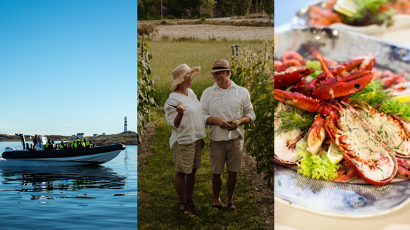 Nysatsing: Kombinerer RIB-tur, vinsmaking og lokal mat