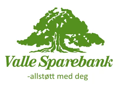Valle Sparebank