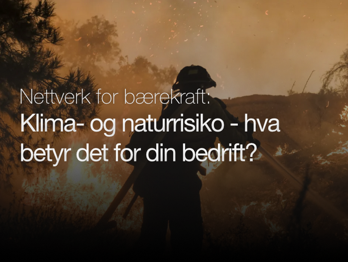  Klima- og naturrisiko: hva betyr det for din bedrift?