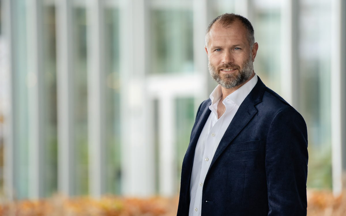 Sebastian Bringsværd, Mainstream