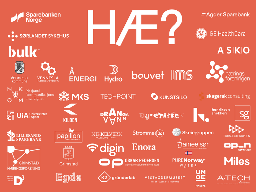 HÆ? Agder på Youngstorget – bedriftspåmelding