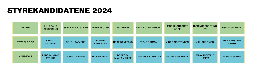 styrekandidatene 2024